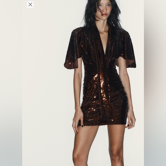 Zara Dresses & Skirts - Zara short sequin dress V neck mini dress with cape NWT Mink Viral SOLD OUT!!